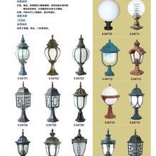 特色泰軟件開發 融合創新與文化的技術之道